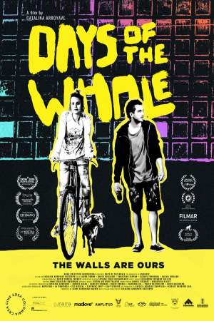 Дни кита онлайн